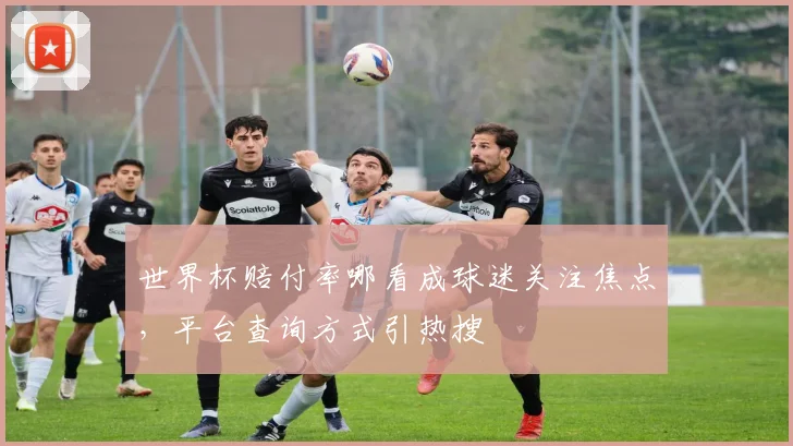 世界杯赔付率哪看成球迷关注焦点,平台查询方式引热搜