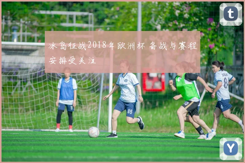 冰岛征战2018年欧洲杯 备战与赛程安排受关注