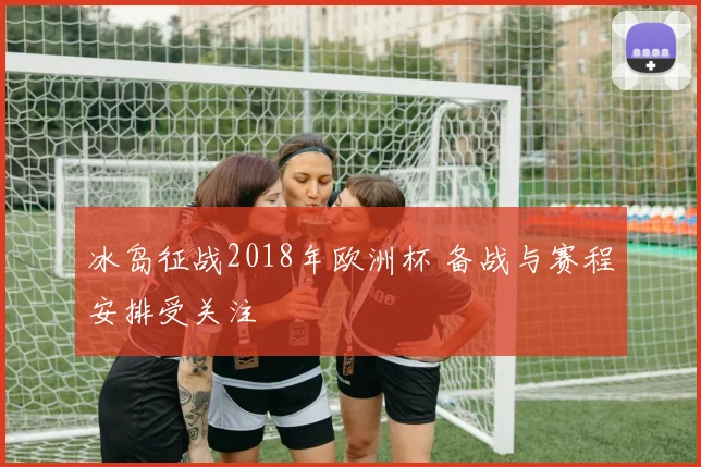 冰岛征战2018年欧洲杯 备战与赛程安排受关注