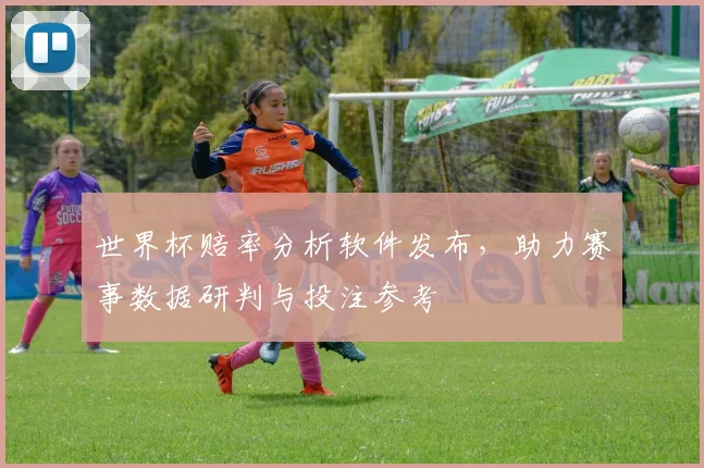 世界杯赔率分析软件发布,助力赛事数据研判与投注参考