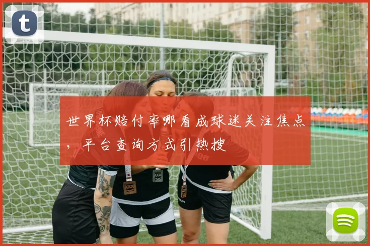 世界杯赔付率哪看成球迷关注焦点,平台查询方式引热搜